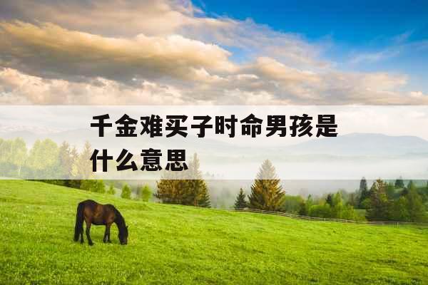 千金难买子时命男孩是什么意思