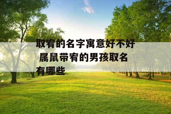 取宥的名字寓意好不好 属鼠带宥的男孩取名有哪些