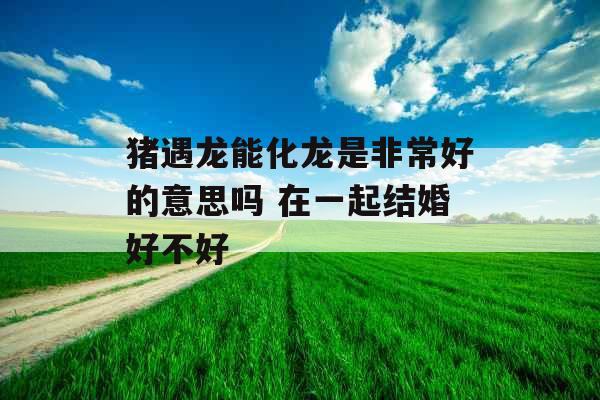 猪遇龙能化龙是非常好的意思吗 在一起结婚好不好