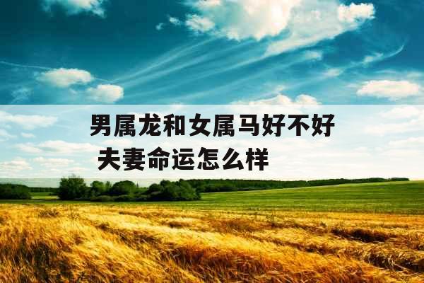 男属龙和女属马好不好 夫妻命运怎么样