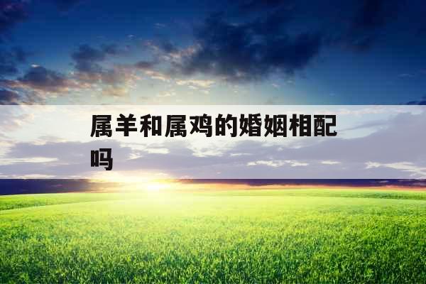 属羊和属鸡的婚姻相配吗