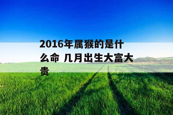 2016年属猴的是什么命 几月出生大富大贵