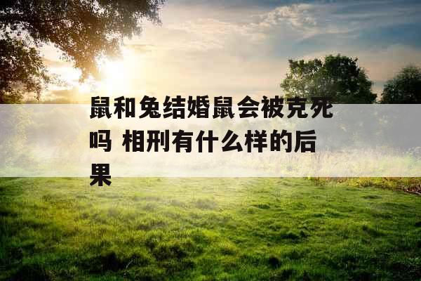鼠和兔结婚鼠会被克死吗 相刑有什么样的后果