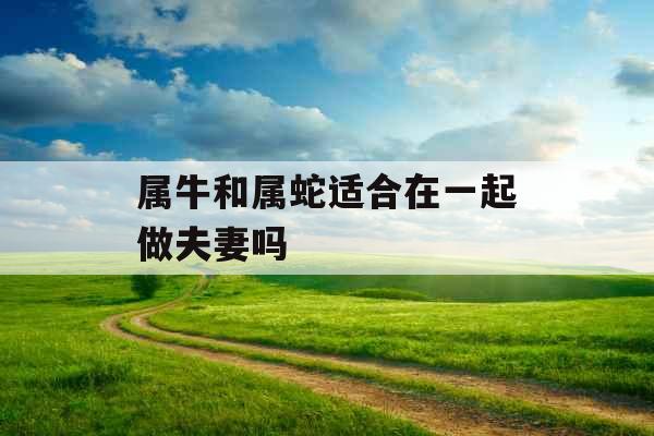 属牛和属蛇适合在一起做夫妻吗