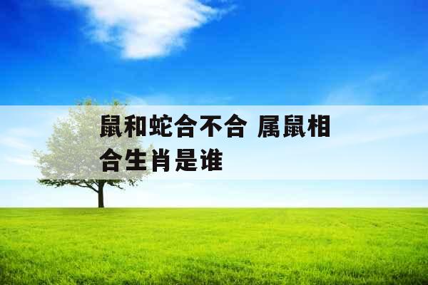 鼠和蛇合不合 属鼠相合生肖是谁