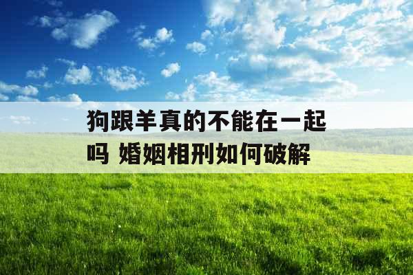 狗跟羊真的不能在一起吗 婚姻相刑如何破解 狗跟羊真的不能在一起吗 婚姻相刑如何破解