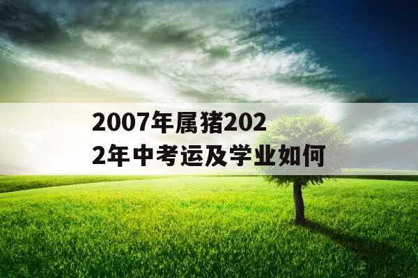 2007年属猪2022年中考运及学业如何 2007年属猪2022年中考运及学业如何