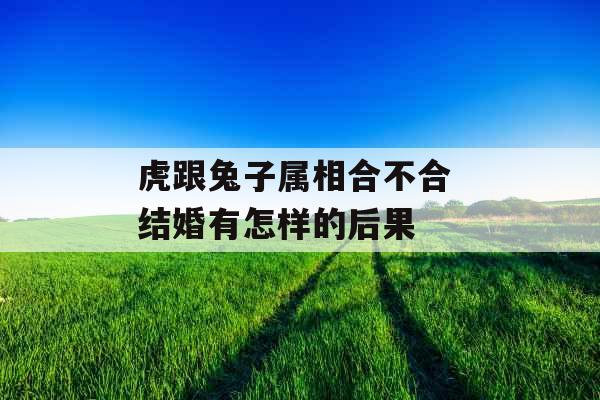 虎跟兔子属相合不合 结婚有怎样的后果