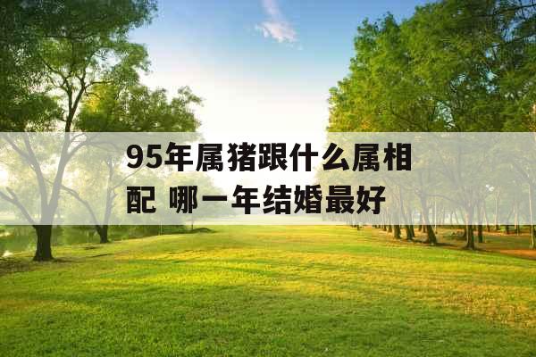 95年属猪跟什么属相配 哪一年结婚最好