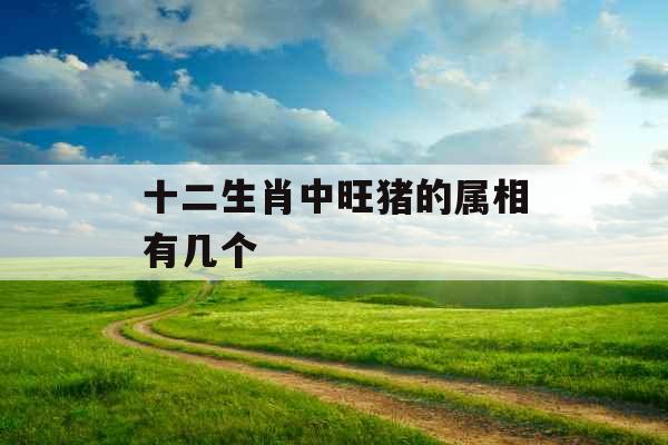 十二生肖中旺猪的属相有几个