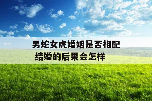 男蛇女虎婚姻是否相配 结婚的后果会怎样