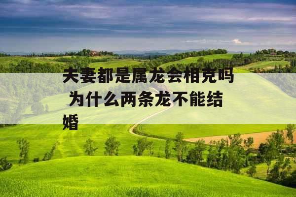 夫妻都是属龙会相克吗 为什么两条龙不能结婚