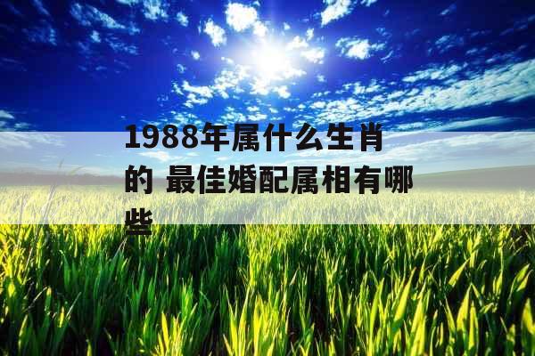 1988年属什么生肖的 最佳婚配属相有哪些