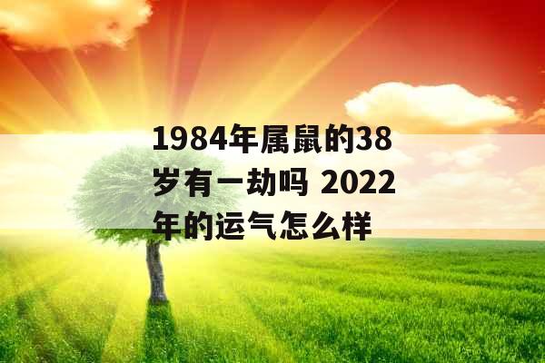 1984年属鼠的38岁有一劫吗 2022年的运气怎么样