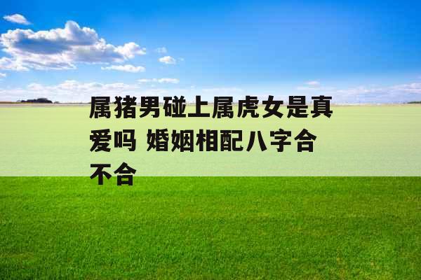 属猪男碰上属虎女是真爱吗 婚姻相配八字合不合