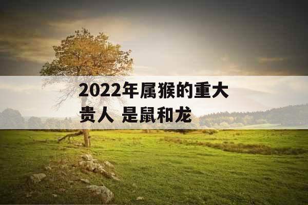2022年属猴的重大贵人 是鼠和龙 2022年属猴的重大贵人 是鼠和龙