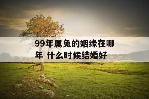 99年属兔的姻缘在哪年 什么时候结婚好