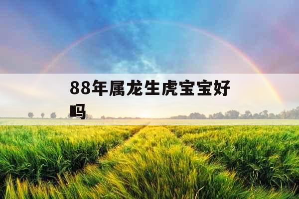 88年属龙生虎宝宝好吗 88年属龙生虎宝宝好吗