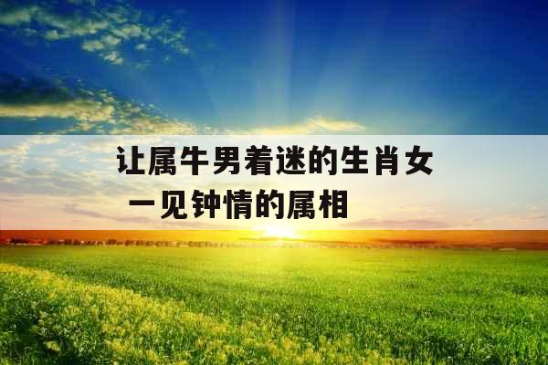 让属牛男着迷的生肖女 一见钟情的属相