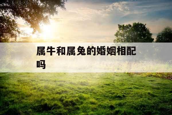 属牛和属兔的婚姻相配吗