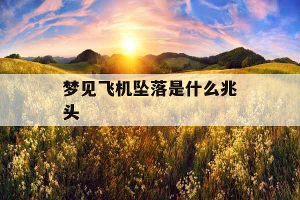 梦见飞机坠落是什么兆头 梦见飞机坠落是什么兆头