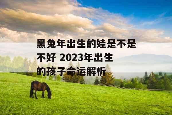 黑兔年出生的娃是不是不好 2023年出生的孩子命运解析 黑兔年出生的娃是不是不好 2023年出生的孩子命运解析