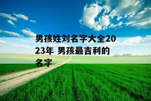 男孩姓刘名字大全2023年 男孩最吉利的名字