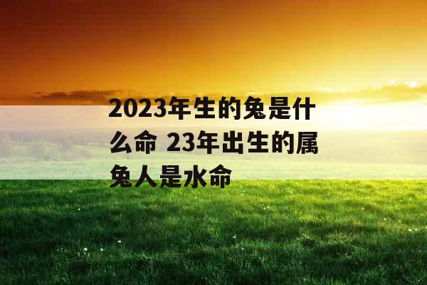 2023年生的兔是什么命 23年出生的属兔人是水命 2023年生的兔是什么命 23年出生的属兔人是水命