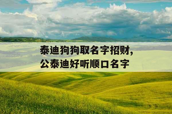 泰迪狗狗取名字招财,公泰迪好听顺口名字 泰迪狗狗取名字招财,公泰迪好听顺口名字