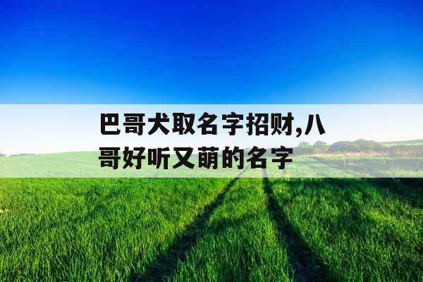 巴哥犬取名字招财,八哥好听又萌的名字 巴哥犬取名字招财,八哥好听又萌的名字