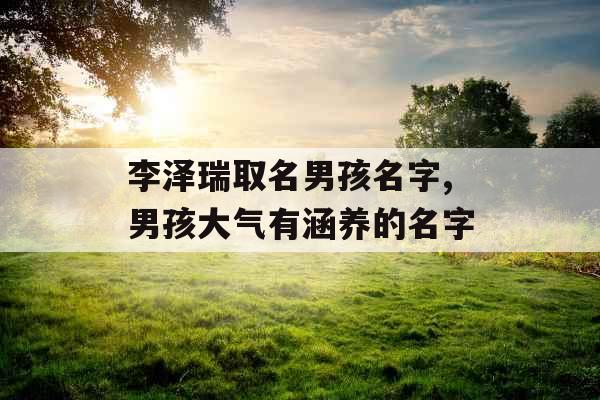 李泽瑞取名男孩名字,男孩大气有涵养的名字