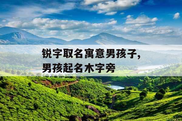 锐字取名寓意男孩子,男孩起名木字旁