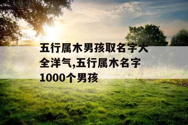 五行属木男孩取名字大全洋气,五行属木名字1000个男孩