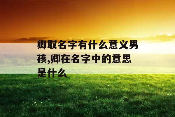 卿取名字有什么意义男孩,卿在名字中的意思是什么 卿取名字有什么意义男孩,卿在名字中的意思是什么