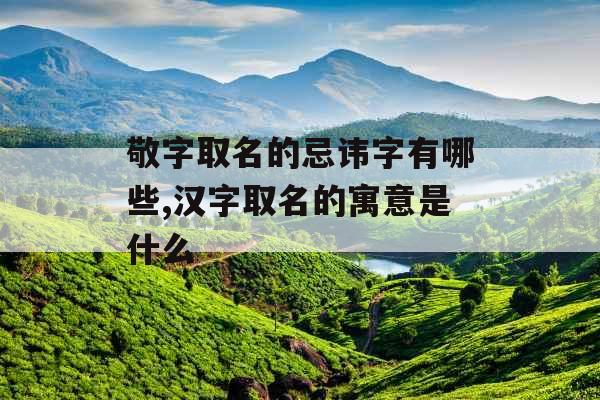 敬字取名的忌讳字有哪些,汉字取名的寓意是什么