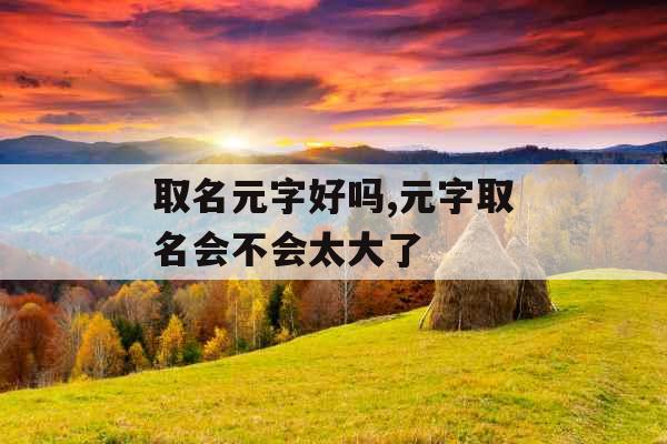 取名元字好吗,元字取名会不会太大了 取名元字好吗,元字取名会不会太大了