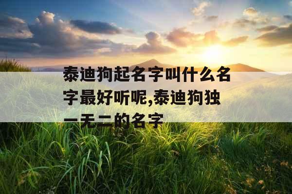 泰迪狗起名字叫什么名字最好听呢,泰迪狗独一无二的名字 泰迪狗起名字叫什么名字最好听呢,泰迪狗独一无二的名字