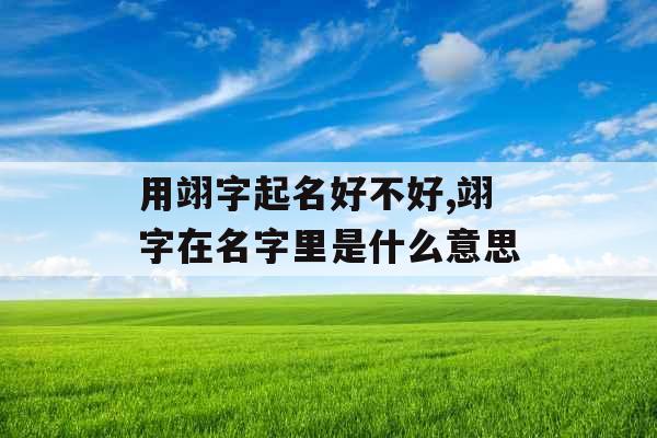 用翊字起名好不好,翊字在名字里是什么意思 用翊字起名好不好,翊字在名字里是什么意思