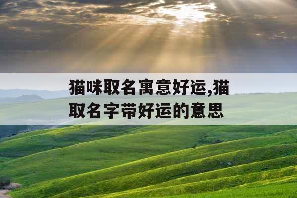 猫咪取名寓意好运,猫取名字带好运的意思 猫咪取名寓意好运,猫取名字带好运的意思