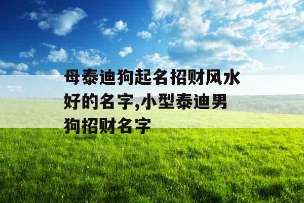 母泰迪狗起名招财风水好的名字,小型泰迪男狗招财名字