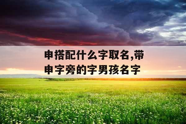 申搭配什么字取名,带申字旁的字男孩名字