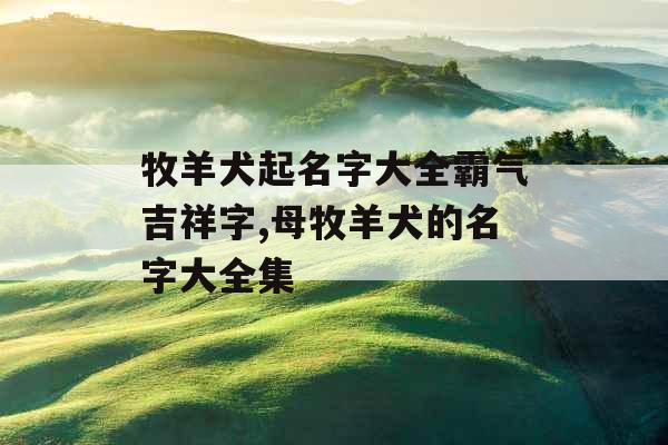 牧羊犬起名字大全霸气吉祥字,母牧羊犬的名字大全集