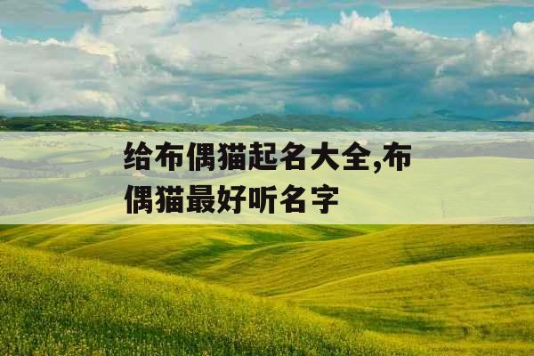 给布偶猫起名大全,布偶猫最好听名字