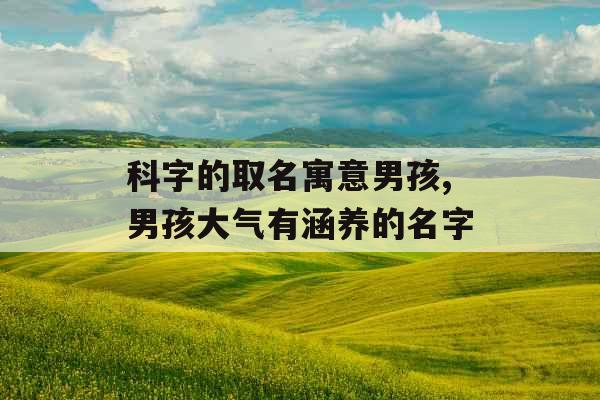 科字的取名寓意男孩,男孩大气有涵养的名字