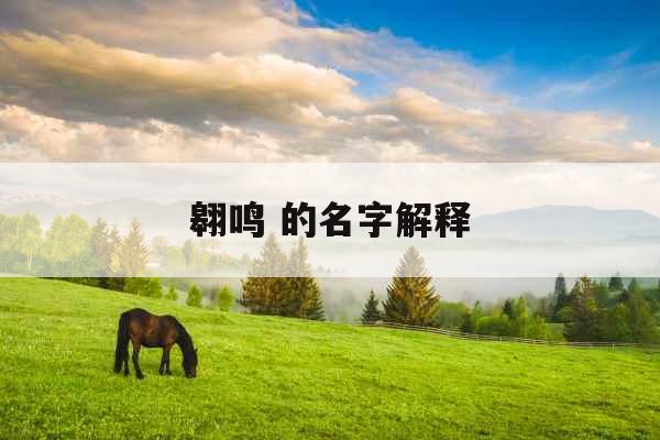 翱鸣 的名字解释