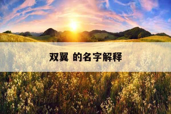 双翼 的名字解释
