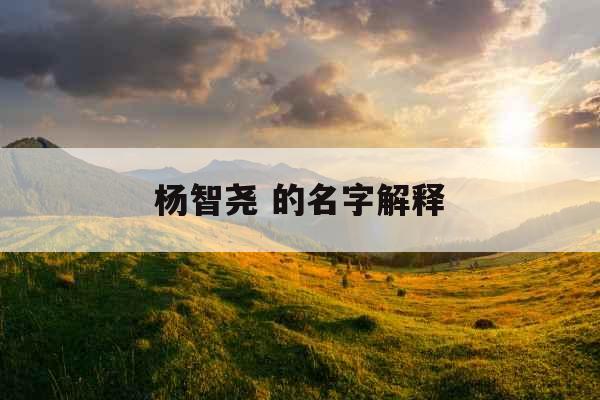 杨智尧 的名字解释