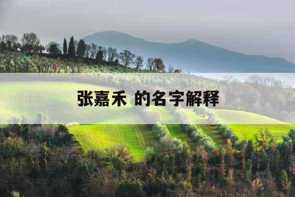 张嘉禾 的名字解释