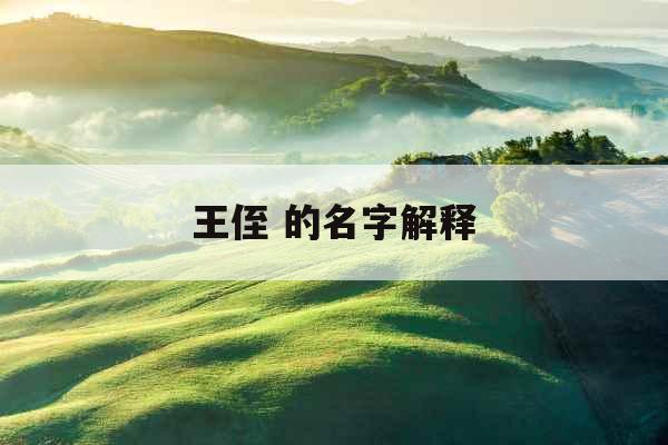 王侄 的名字解释 王侄 的名字解释