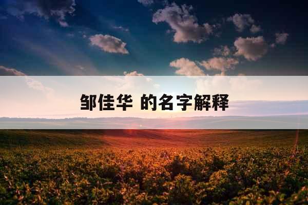 邹佳华 的名字解释